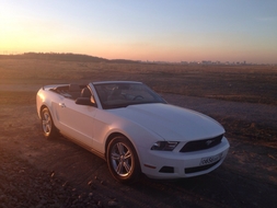 Rent Cars and Buses: Ford Mustang Cabrio