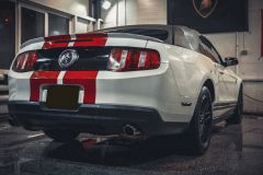 Rent Cars and Buses: Ford Mustang Shelby 2013