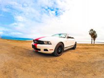 Rent Cars and Buses: Ford Mustang Shelby 2013