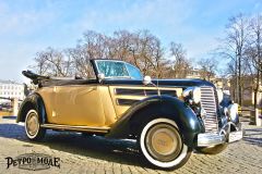 Rent Cars and Buses: Audi  1938