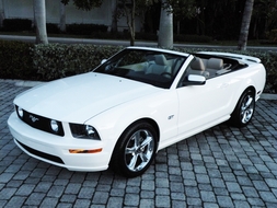 Rent Cars and Buses: Ford Mustang